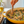 Miso Mushroom
